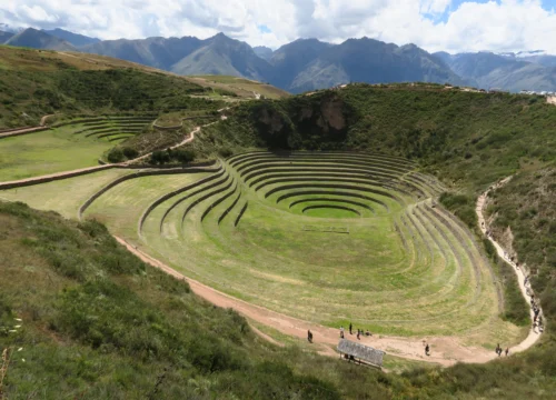 MARAS Y MORAY